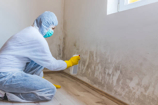 Hvac And Air Duct Mold Remediation inspection of HVAC system in Beaver Springs